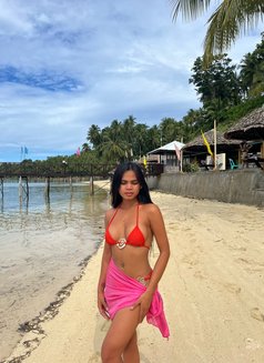 Barbie - escort in Manila Photo 3 of 8