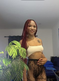 Barbie - escort in Pattaya Photo 2 of 5