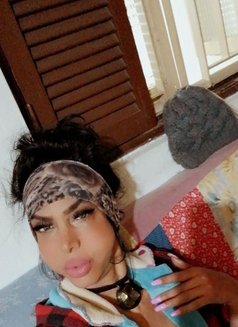 Barbie Nana - Transsexual escort in Beirut Photo 1 of 2