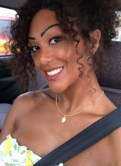 Barbie Preta Ts - Acompañantes transexual in Lisbon Photo 15 of 21