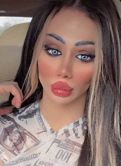 Barbie Qamar - Acompañantes transexual in Amman Photo 26 of 26
