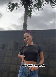 Barbie - escort in Pattaya Photo 8 of 11