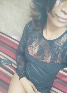 Barbie Tara dominatrix Mistress - Acompañantes transexual in Colombo Photo 6 of 7