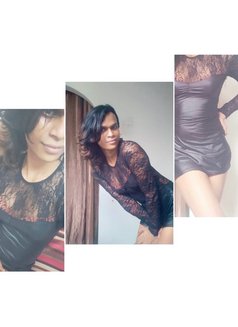 Barbie Tara dominatrix Mistress - Acompañantes transexual in Colombo Photo 5 of 26