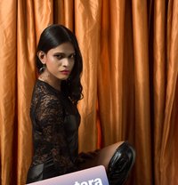 Dominasxtic barbie Tara - Transsexual escort in Colombo