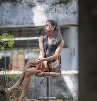 Barbie Tara dominatrix Mistress - Transsexual escort in Colombo