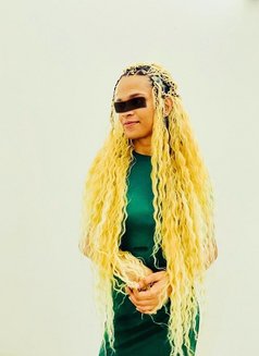 Barbie Tara dominatrix Mistress - Acompañantes transexual in Colombo Photo 26 of 26