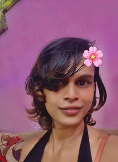 Barbie Tara dominatrix TS - Acompañantes transexual in Colombo Photo 29 of 30