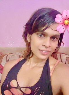 Barbie Tara dominatrix TS - Acompañantes transexual in Colombo Photo 30 of 30