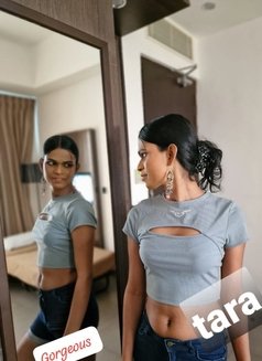 Barbie Tara dominatrix TS - Acompañantes transexual in Colombo Photo 28 of 29