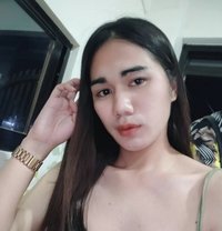 Barbie - Transsexual escort in Angeles City