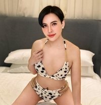 VIP BIG DICK with popper 🇹🇭only2day - Transsexual escort in Abu Dhabi