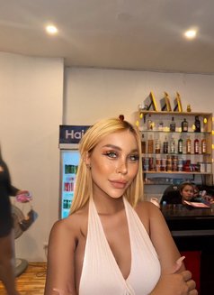 Barbie VVIP - escort in Phuket Photo 22 of 25