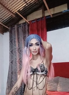 Barbielicious - Transsexual adult performer in Manila Photo 4 of 6