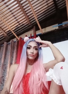 Barbielucious - Transsexual escort in Manila Photo 14 of 17