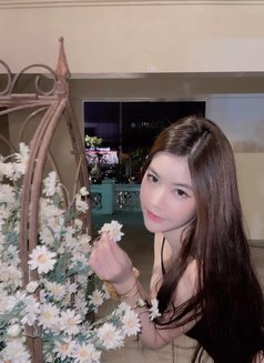 Barbiequeen96 - escort in Bangkok Photo 3 of 6