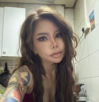 Bb Available - escort in Dubai