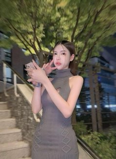 BB ladyboy in Seoul Gangnam Sinsa - Transsexual escort in Seoul Photo 16 of 17