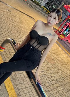 BB ladyboy in Seoul Gangnam - Acompañantes transexual in Seoul Photo 24 of 24