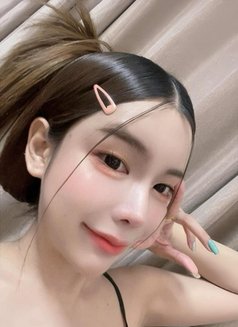 BB ladyboy in Seoul Jongno3ga - Transsexual escort in Seoul Photo 18 of 19
