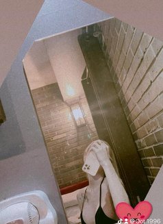 BB ladyboy in Seoul Jongno3ga - Transsexual escort in Seoul Photo 18 of 20