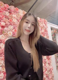 BB ladyboy in Seoul Jongno3ga - Transsexual escort in Seoul Photo 19 of 20