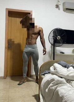 Bbc Bull at Doorstep - Acompañantes masculino in Bangalore Photo 1 of 1