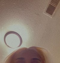 Bbc Top Ts Taraki - Acompañantes transexual in Glasgow