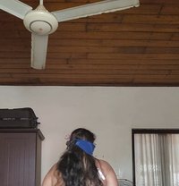 BBW Queen - Dominadora in Colombo