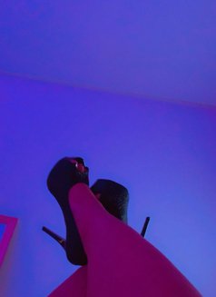 BBWxxHoney in Bahrain now๐ง๐ญ - escort in Al Manama Photo 20 of 24