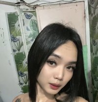 Bby Cang - Transsexual escort in Manila