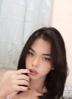 Bbyzee - Acompañantes transexual in Bali Photo 2 of 5