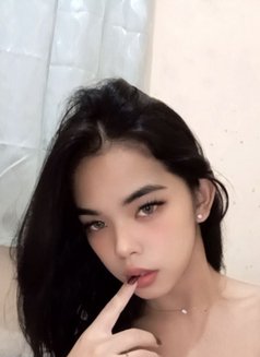 Bbyzee - Acompañantes transexual in Bali Photo 3 of 5