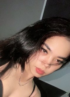 Bbyzee - Transsexual escort in Bali Photo 5 of 5