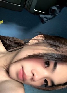 Bbyzee - Transsexual escort in Bali Photo 13 of 15