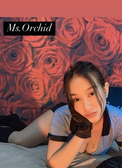 Bd Massage - masseuse in Manila Photo 24 of 24