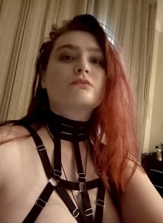 BDSM Dominatrix Mistress Dominique - dominatrix in Cape Town Photo 3 of 5