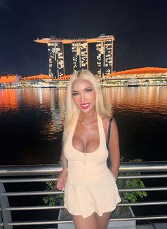 (BDSM, Fetishes, Roleplay, Fantasy) - escort in Manila Photo 29 of 30
