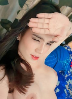 B2B massage+BDSM+Gf experience - Transsexual escort in Hong Kong Photo 9 of 15