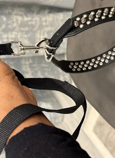 Mistress Diamond Olivia (Bdsm Queen) - Dominadora in Dubai Photo 12 of 12
