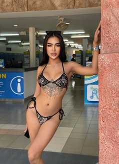 Be Be 69 #vip - Transsexual escort in Pattaya Photo 6 of 10