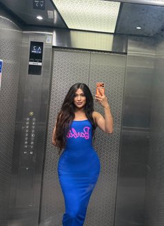 Be my bitch hardfucker/strong poppers - Transsexual escort in Dubai Photo 30 of 30