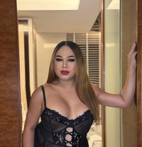 Be my Sissy/Slut Dog 🥂🦮Lets Party📸 - Acompañantes transexual in Bangkok