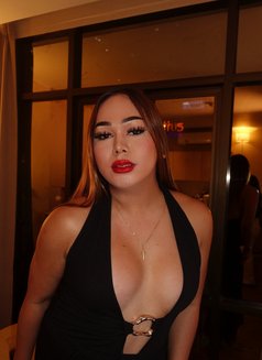 Be my Sissy/Slut Dog 🥂🦮Lets Party📸 - Acompañantes transexual in Bangkok Photo 29 of 30