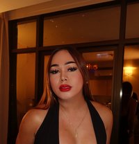 Be my Sissy/Slut Dog 🥂🦮Lets Party📸 - Transsexual escort in Bangkok Photo 29 of 30