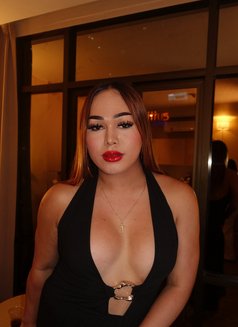 Be my Sissy/Slut Dog 🥂🦮Lets Party📸 - Acompañantes transexual in Bangkok Photo 30 of 30
