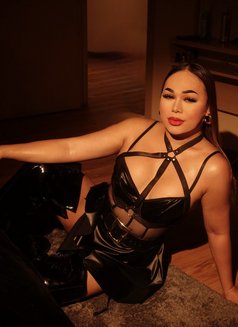 Top Dominant Mistress Party 🦮🥂Gangbang - Transsexual escort in Bangkok Photo 6 of 25