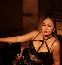Be my Sissy/Slut Slave 🥂🦮GangbangParty - Transsexual escort in Bangkok Photo 6 of 25