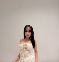 Bea Ladyboy - Acompañantes transexual in  Koh Phangan