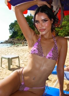 Beach Girl Classy Available - Acompañantes transexual in Bangkok Photo 4 of 28